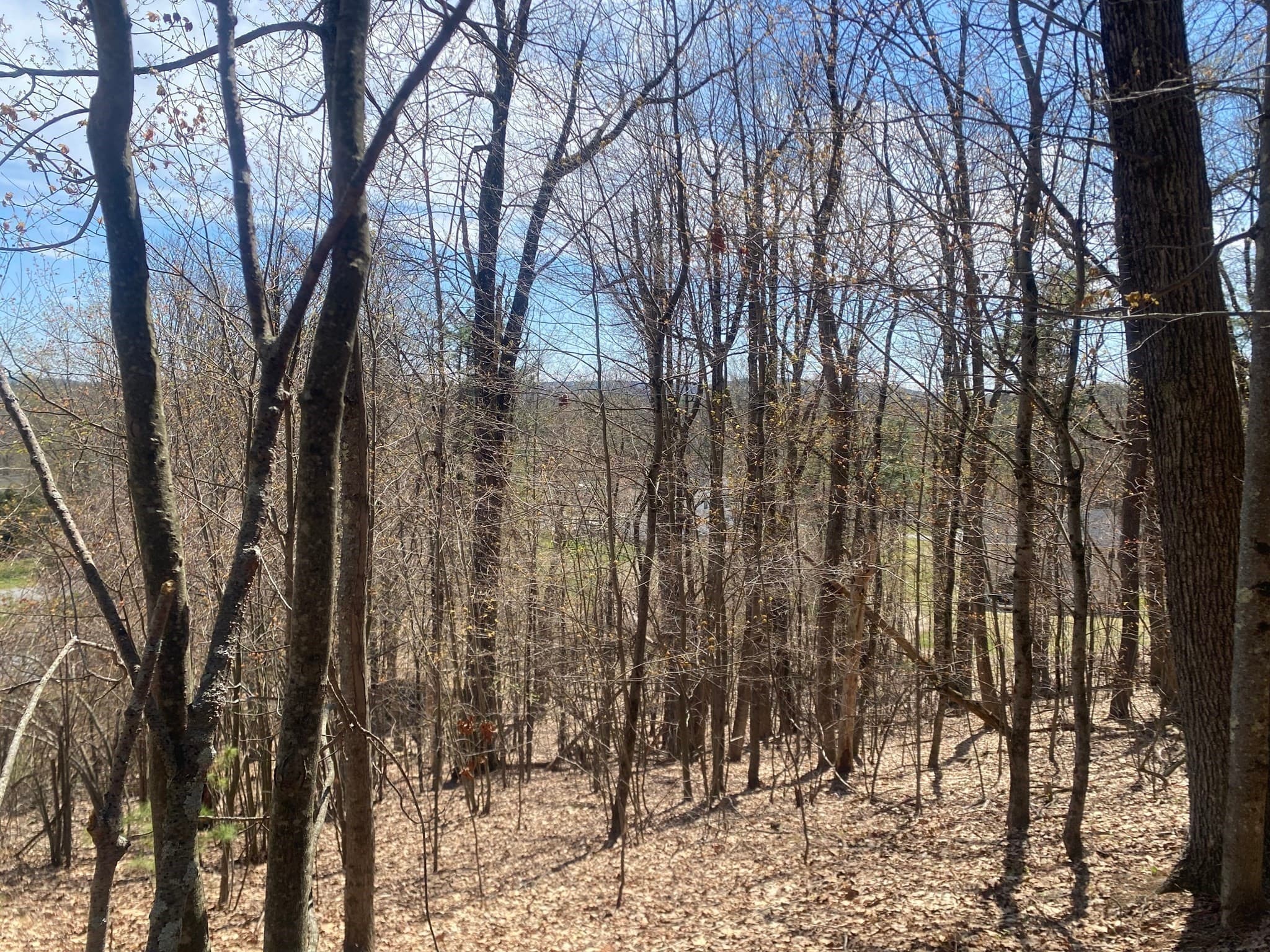 Residential at 22 Newcomb Rd Lot 1, Westminster MA 01473, photo 7 of 12