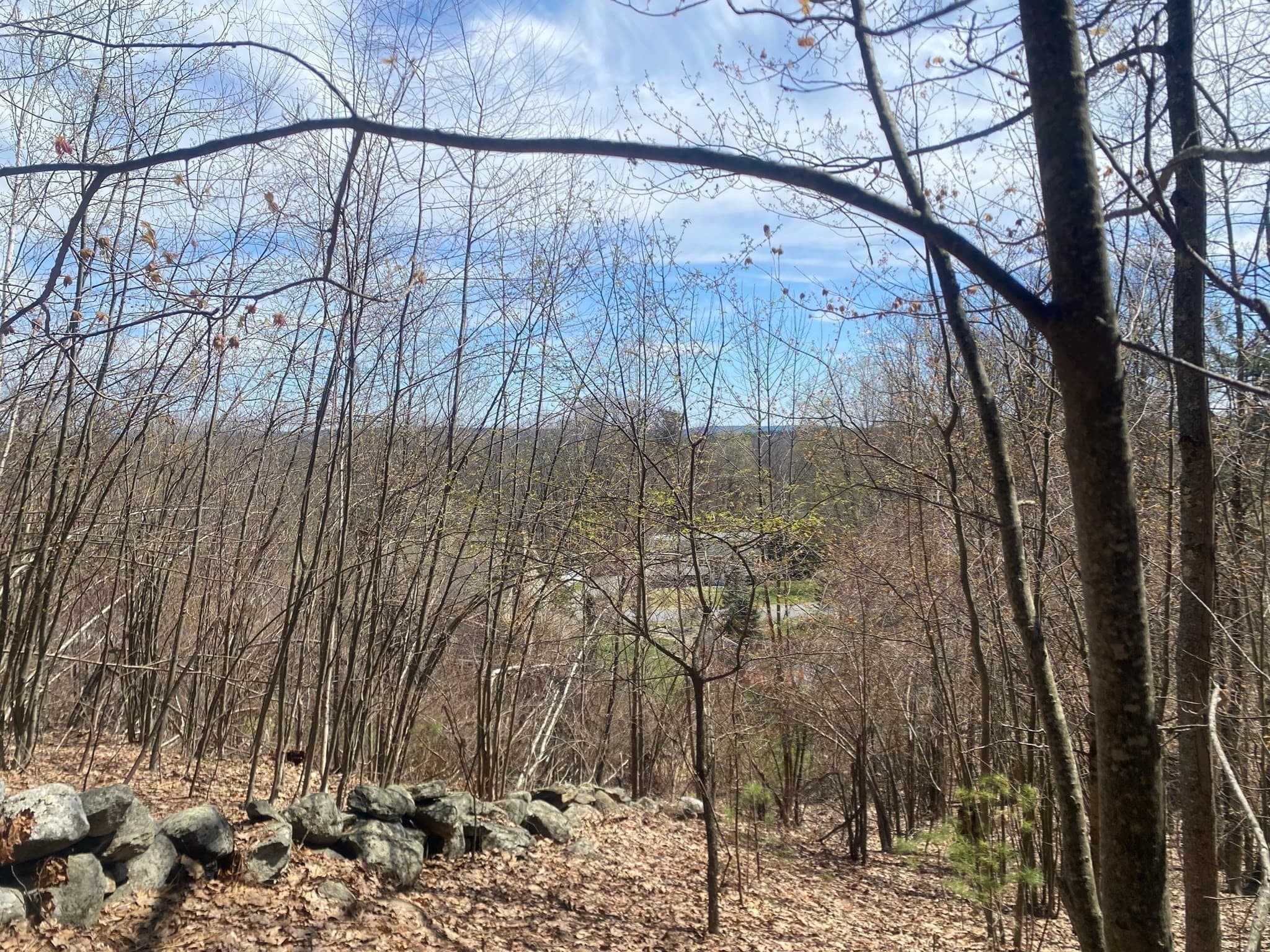 Residential at 22 Newcomb Rd Lot 1, Westminster MA 01473, photo 3 of 12