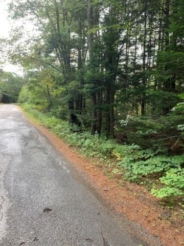Residential at 0 Young, Ashburnham MA 01430, photo 3 of 13
