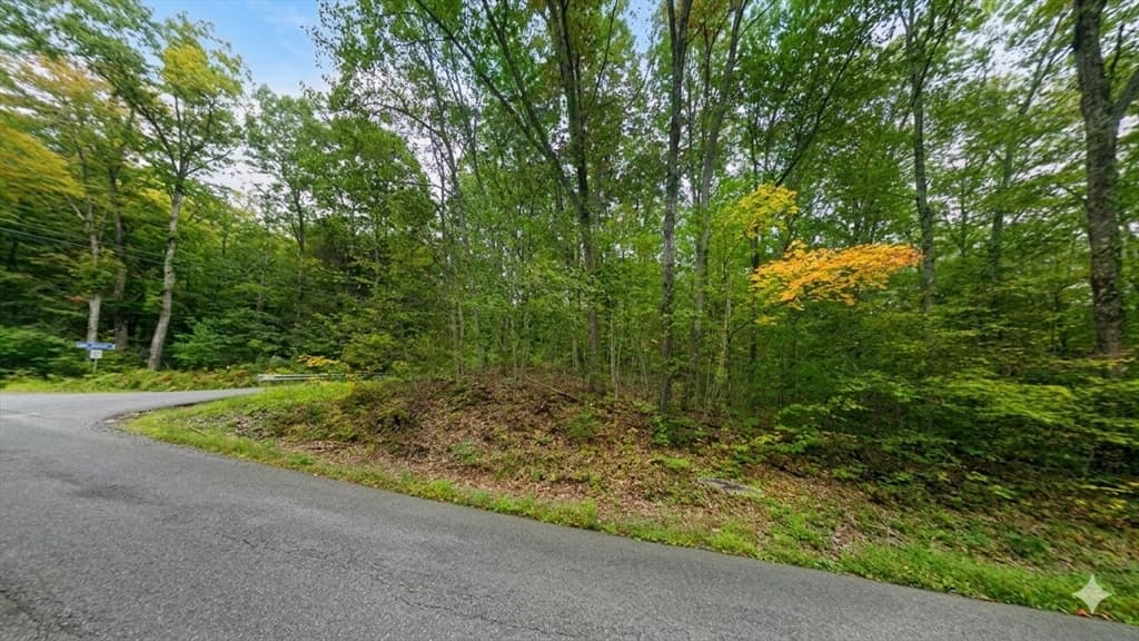 00 William Holmes Rd, Becket MA 01223 photo 2