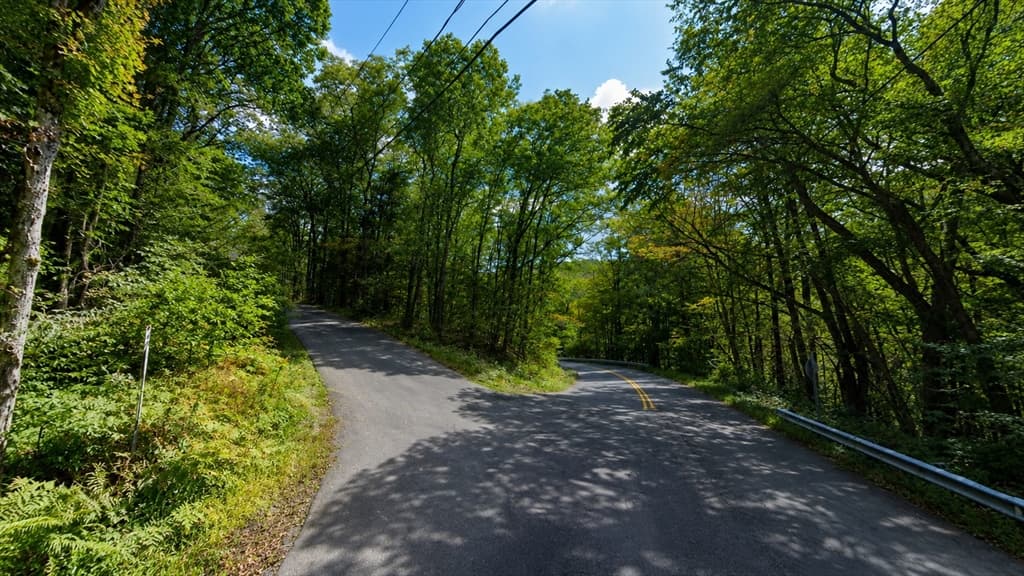 00 William Holmes Rd, Becket MA 01223 photo 5