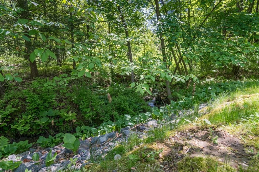 10 Walnut St # 10, Montague MA 01376 photo 33