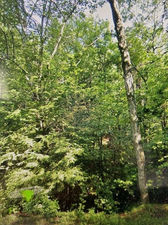 349 Sw Main St, Douglas MA 01516 photo 7