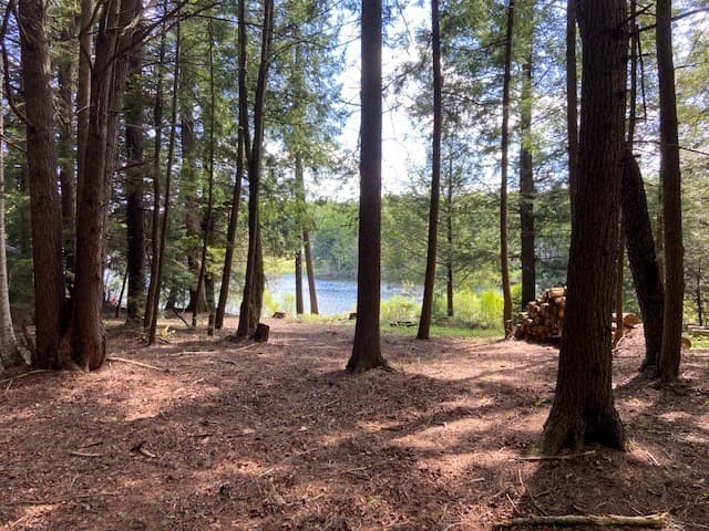 Residential at 0 Bray Rd, Chesterfield MA 01012, photo 5 of 8