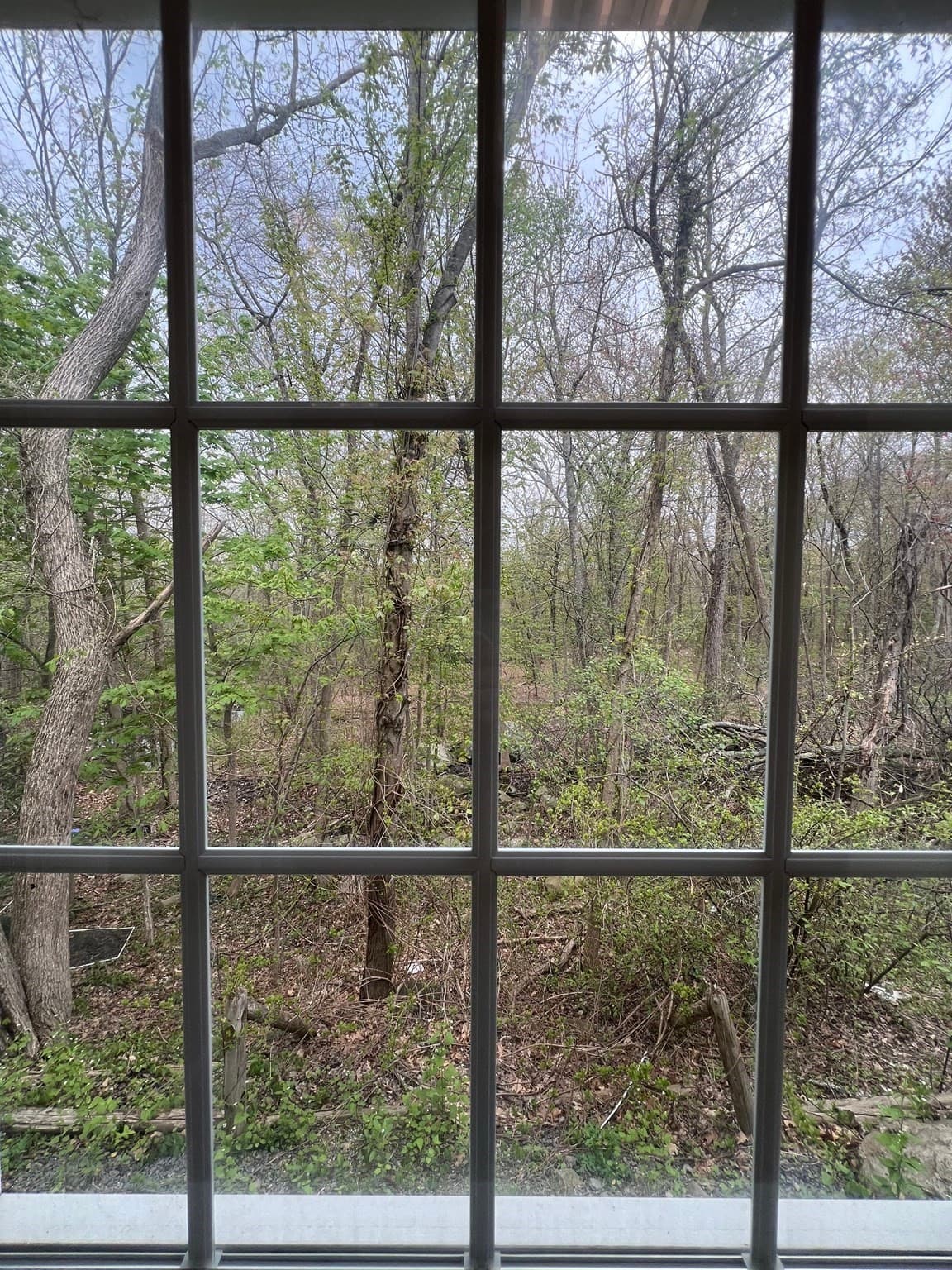 Commercial Sale at 77 Access Rd # 8, Norwood MA 02062, photo 11 of 31