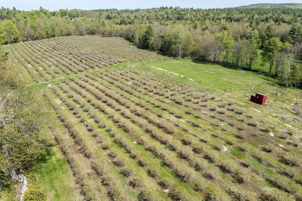 Farm at 122 Ferin Road, Ashburnham MA 01430, photo 28 of 35