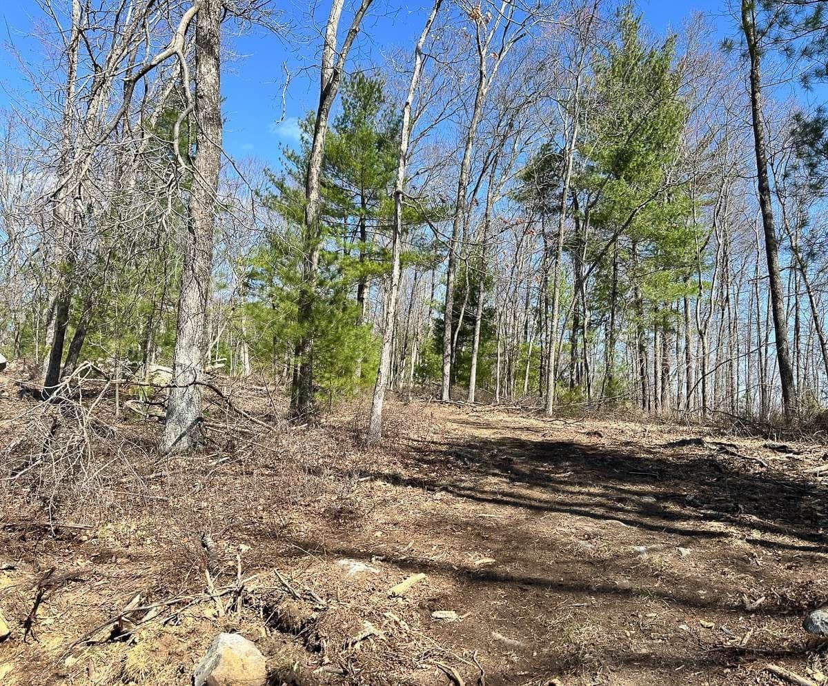 Residential at 126 Burbank Rd Lot 1, Sutton MA 01590, photo 4 of 4