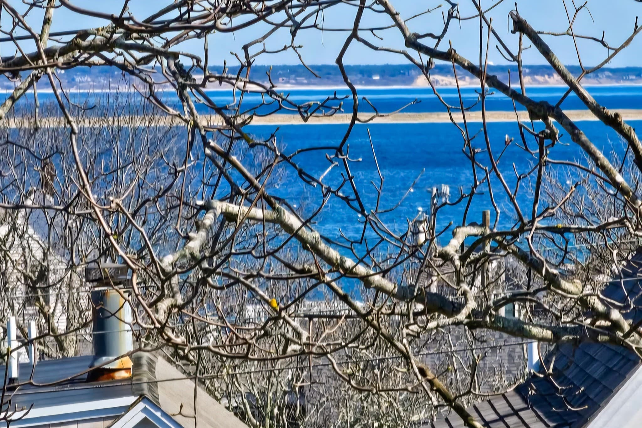 Multi Family at 21 Mechanic Street, Provincetown MA 02657, Provincetown, photo 7 of 24