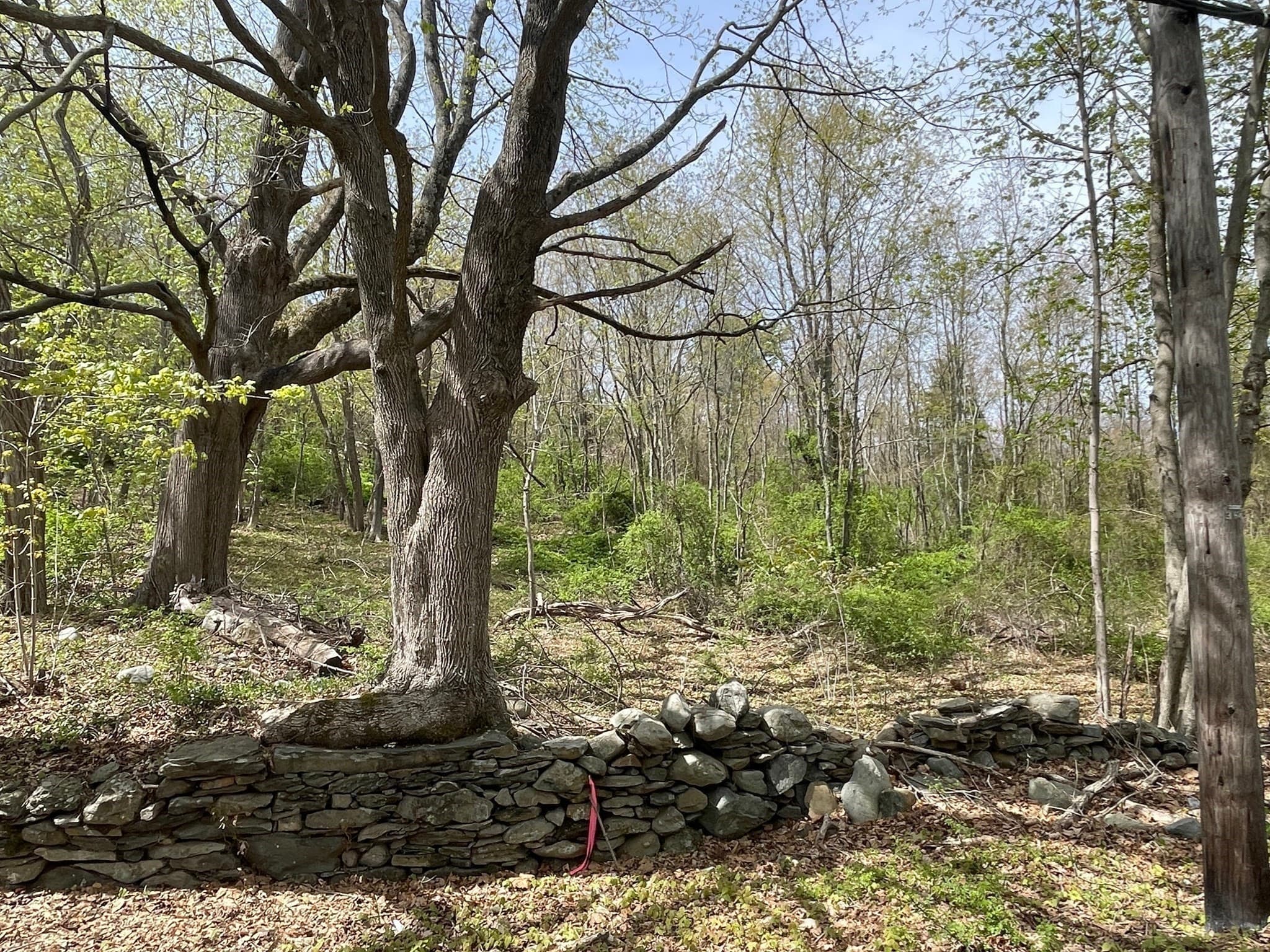 Residential at 2729 Elm Street (Lot 1), Dighton MA 02715, photo 6 of 16