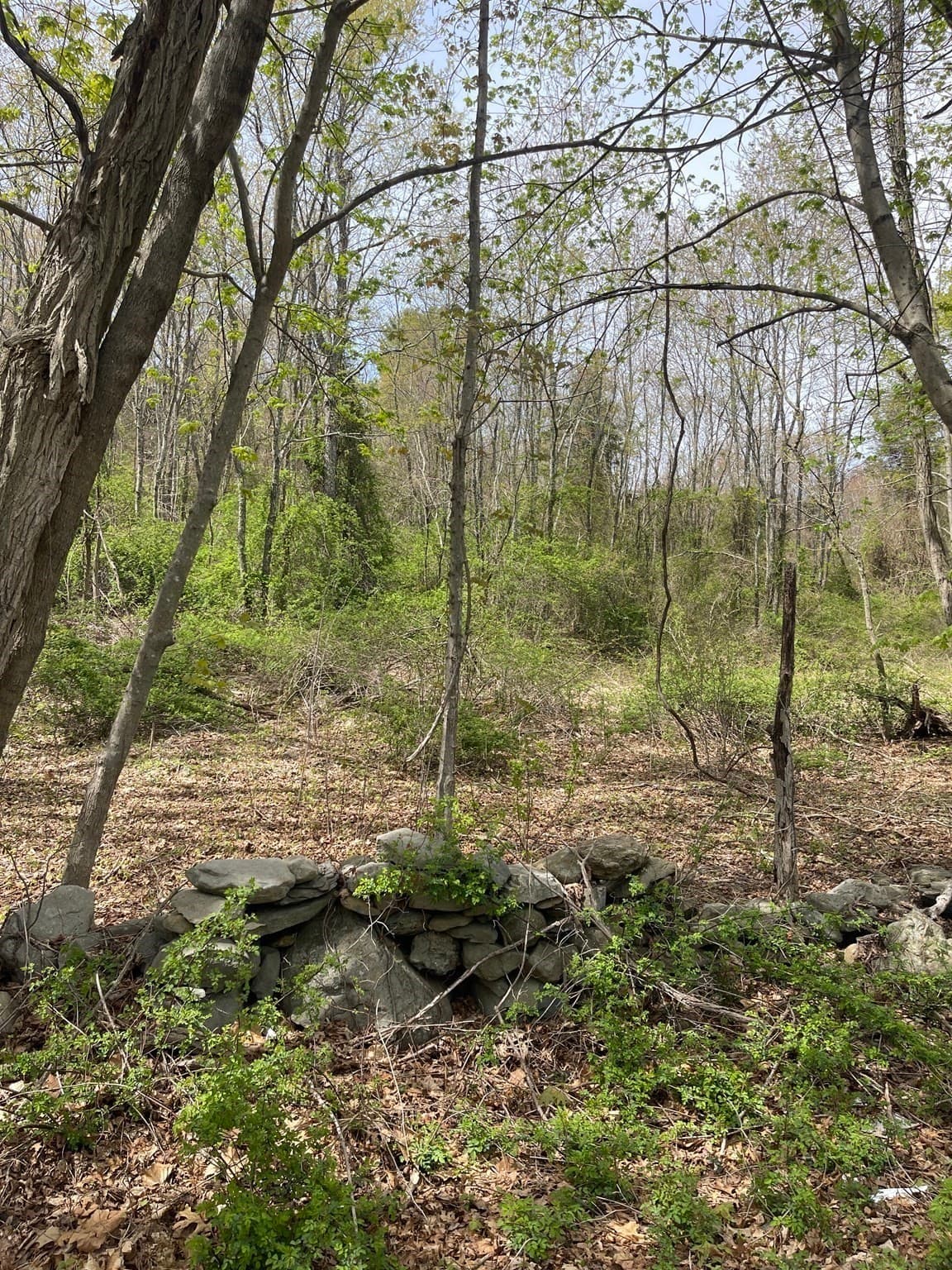Residential at 2729 Elm Street (Lot 1), Dighton MA 02715, photo 12 of 16