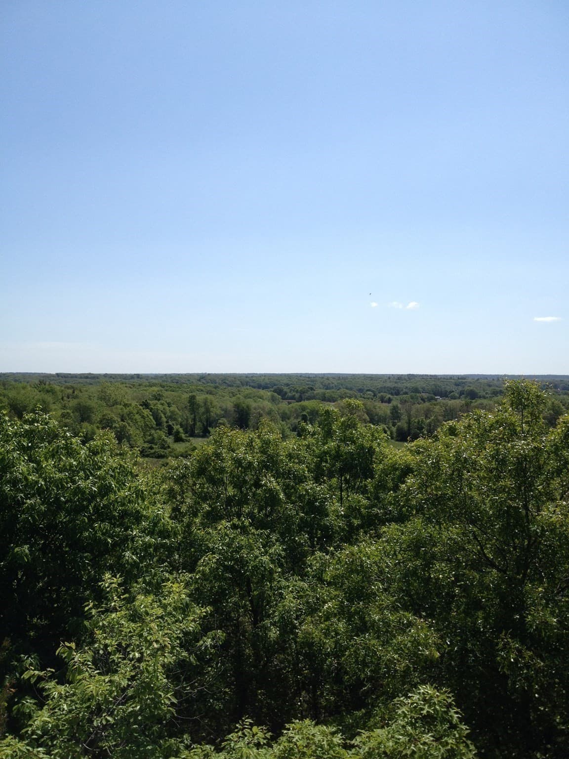 Residential at 2734 Elm Street (Lot 2), Dighton MA 02715, photo 6 of 16