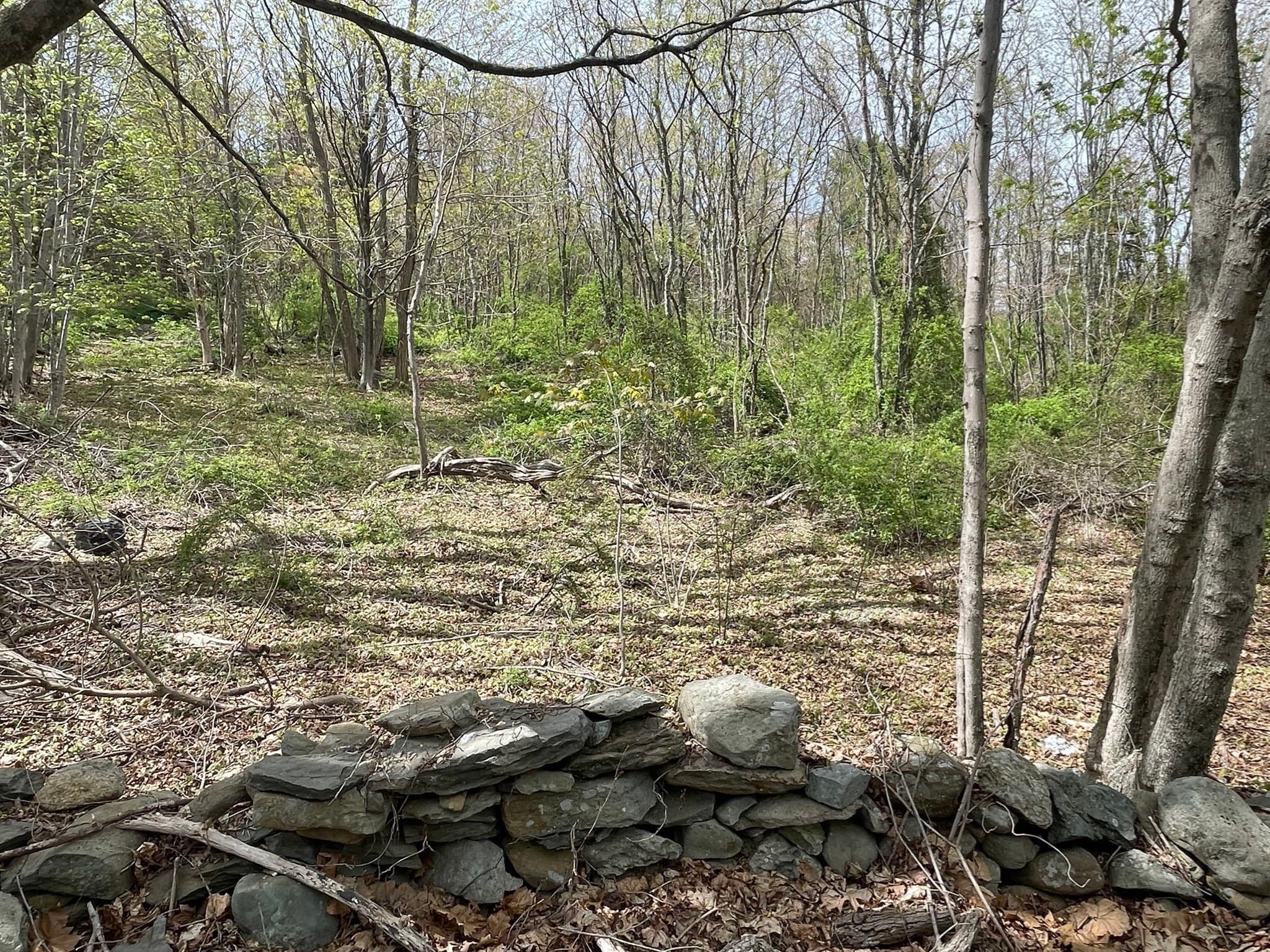 Residential at 2734 Elm Street (Lot 2), Dighton MA 02715, photo 7 of 16