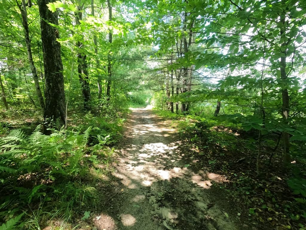 Lot 21 Exchange St, Templeton MA 01468 photo 17