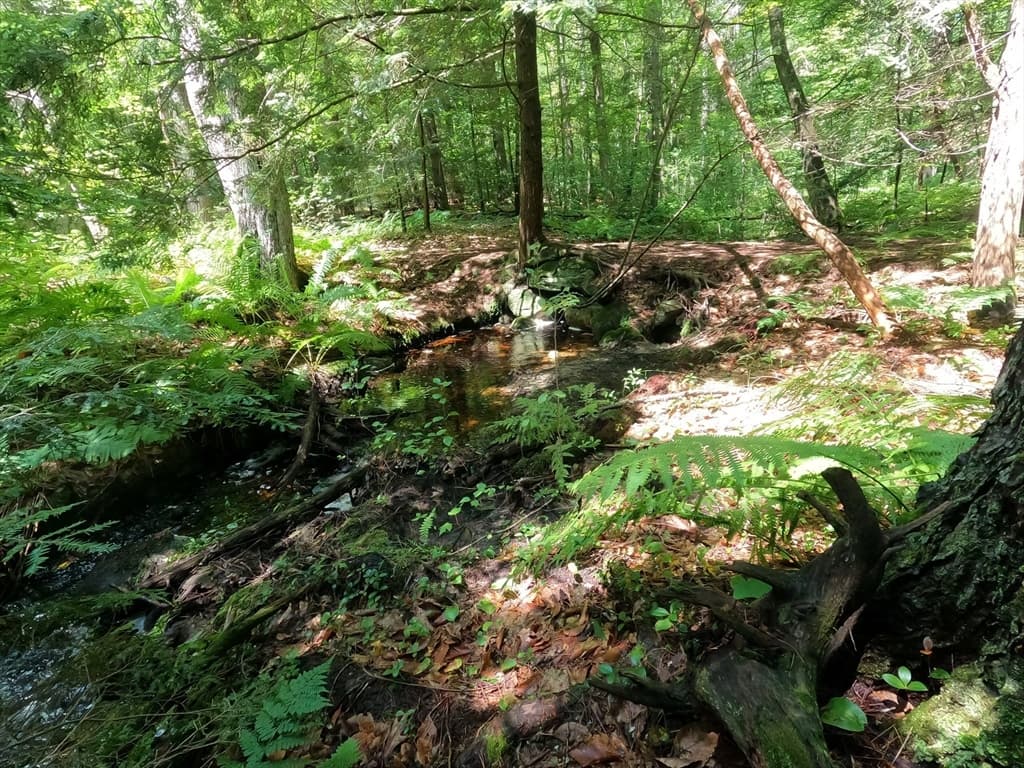 Lot 21 Exchange St, Templeton MA 01468 photo 9