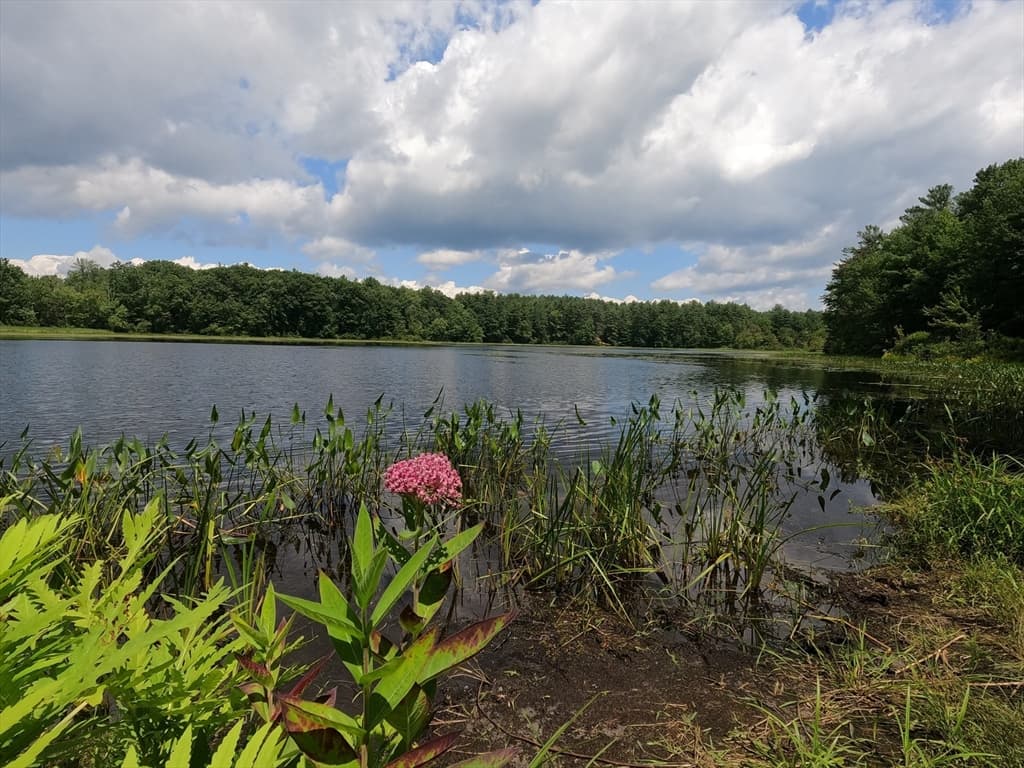 Lot 21 Exchange St, Templeton MA 01468 photo 4