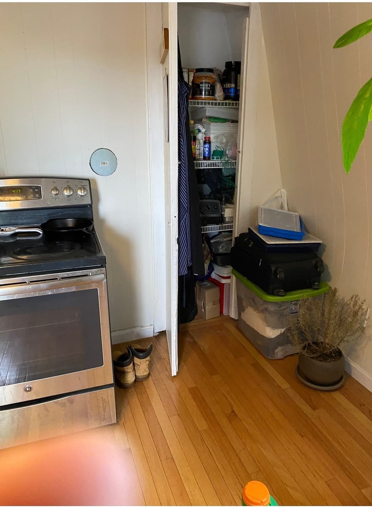 3 Family at 607 E 7th St, Boston MA 02127, Boston, photo 19 of 21