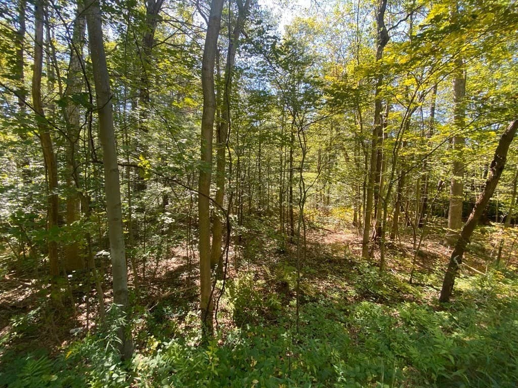 Residential at 45 Fox Hill Rd, Mashpee MA 02649, photo 2 of 3