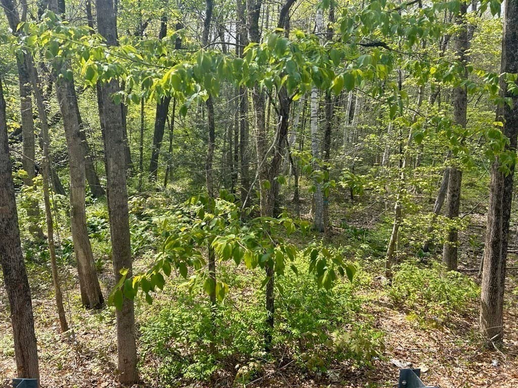 45 Fox Hill Rd, Mashpee MA 02649