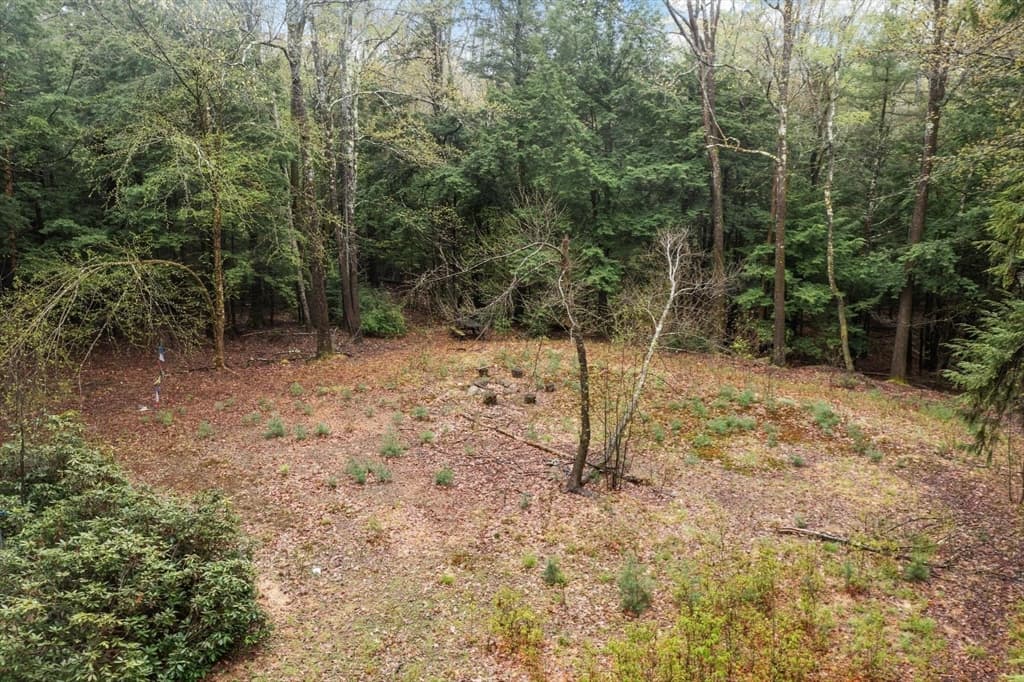 42 Bowl Rd, Richmond NH 03470 photo 5