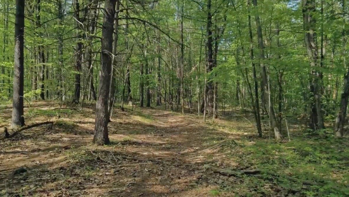 Single Family Residence at 32 Hollow Rd, Wales MA 01081, photo 13 of 36