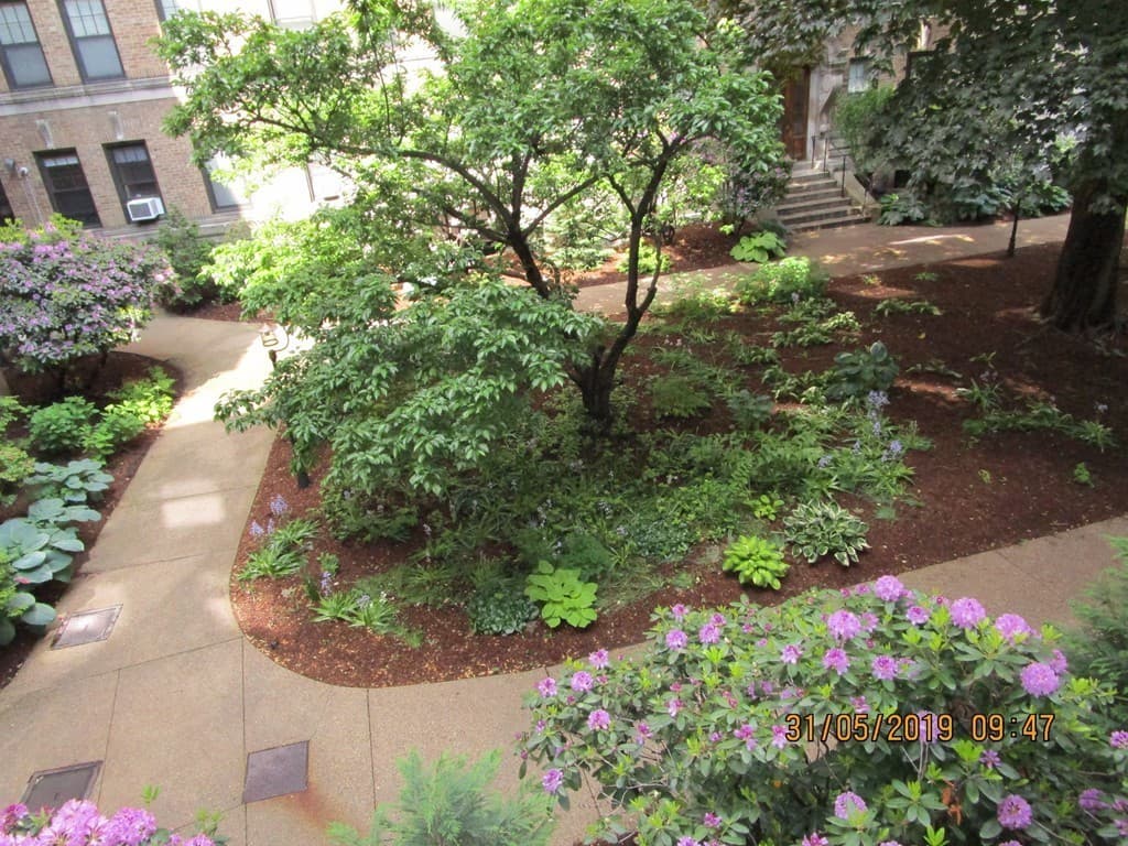 Condominium at 116 Riverway # 5, Boston MA 02215, photo 5 of 36