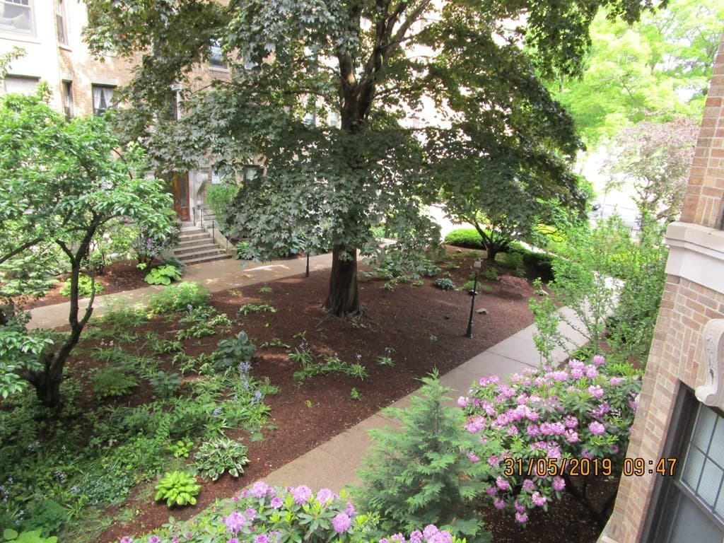 Condominium at 116 Riverway # 5, Boston MA 02215, photo 4 of 36