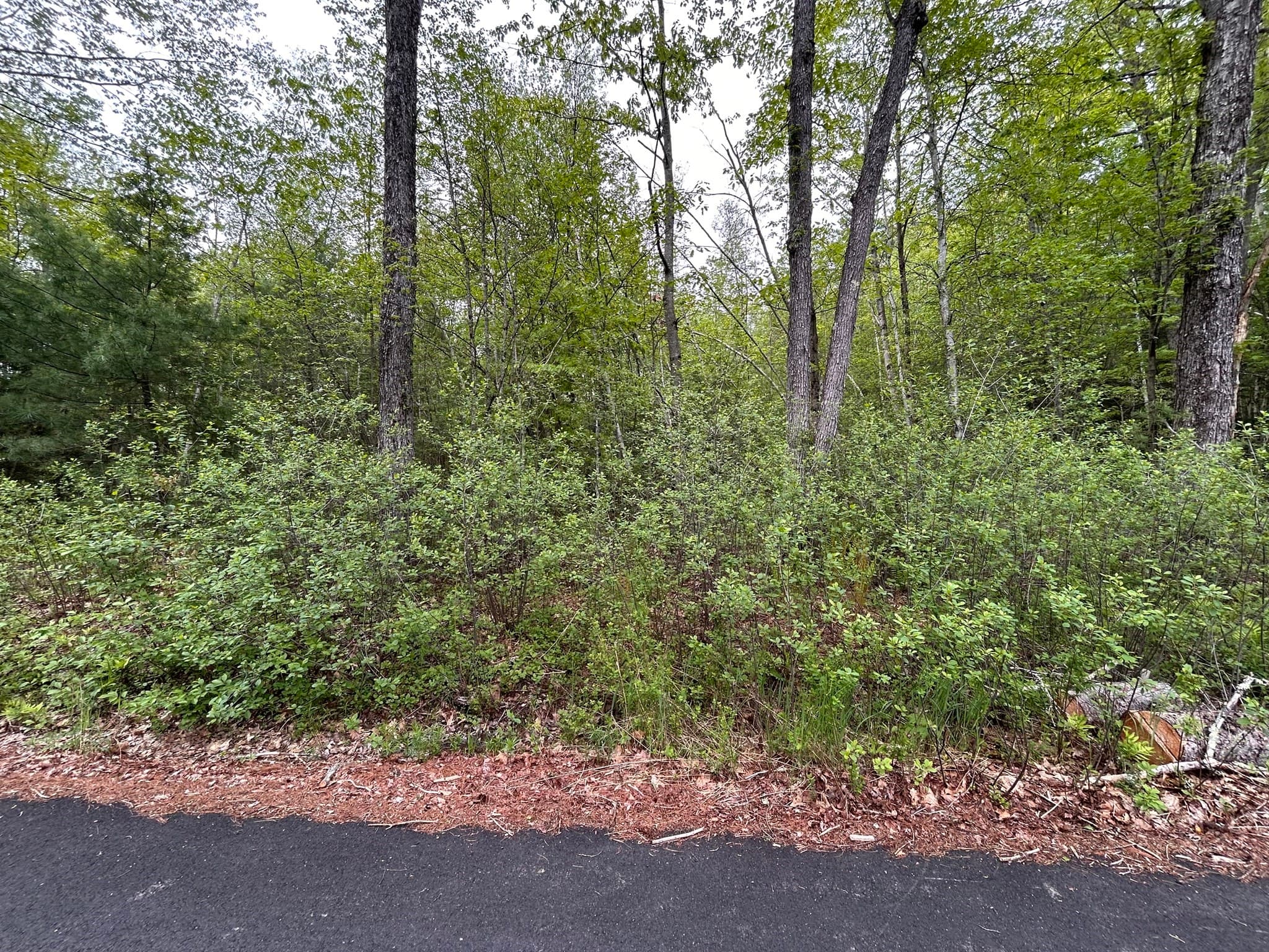 0 Lot 2 Stoddard Rd, Winchendon MA 01475