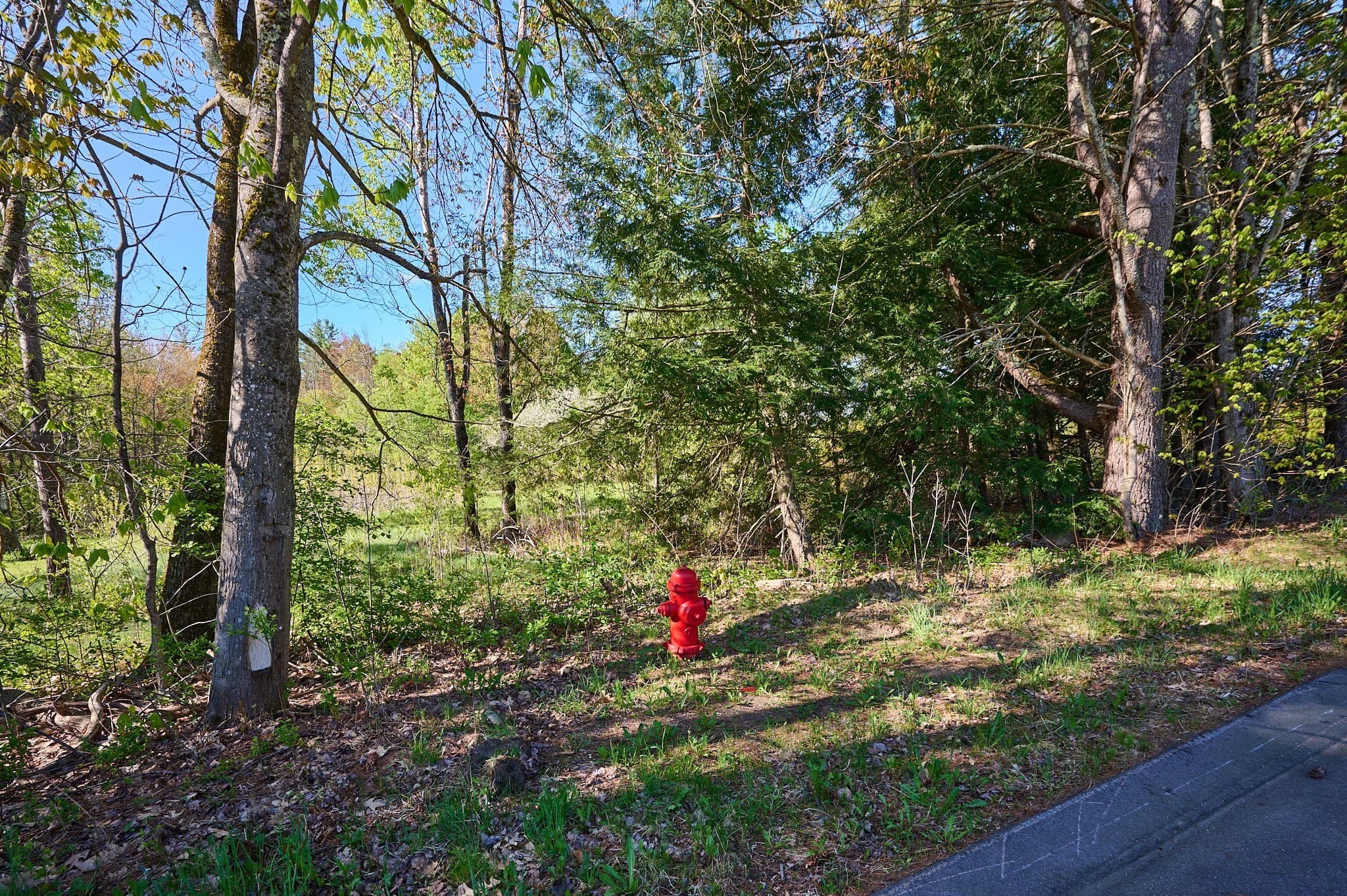 Residential at 0 Radiker, Worthington MA 01098, photo 13 of 18