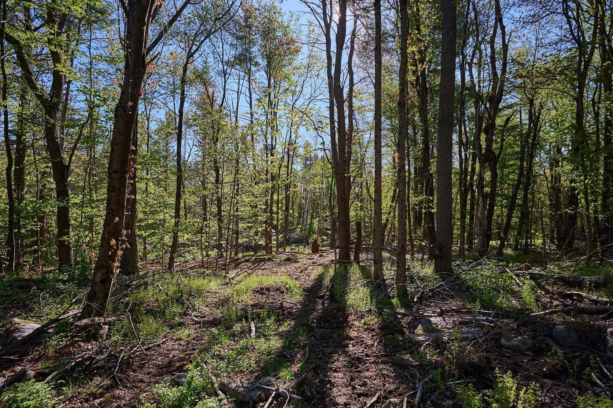 Residential at 0 Radiker, Worthington MA 01098, photo 5 of 18