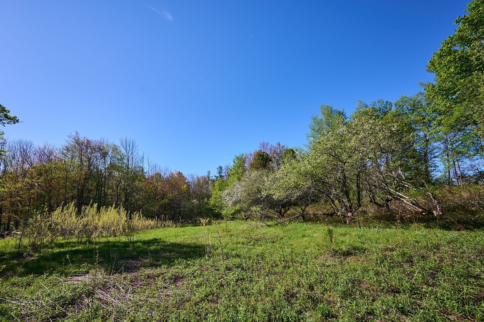 Residential at 0 Radiker, Worthington MA 01098, photo 14 of 18