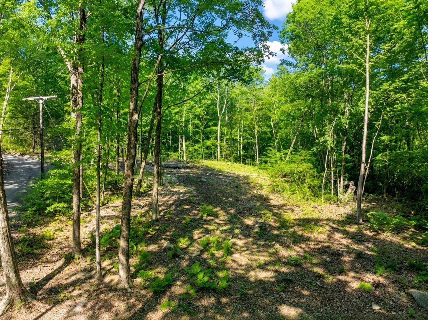 Residential at 12 Carey Road, Sturbridge MA 01566, Sturbridge, photo 6 of 15