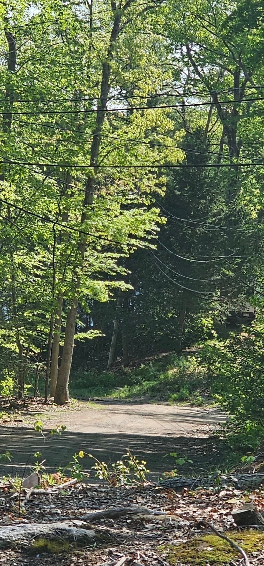 Residential at 12 Carey Road, Sturbridge MA 01566, Sturbridge, photo 13 of 15