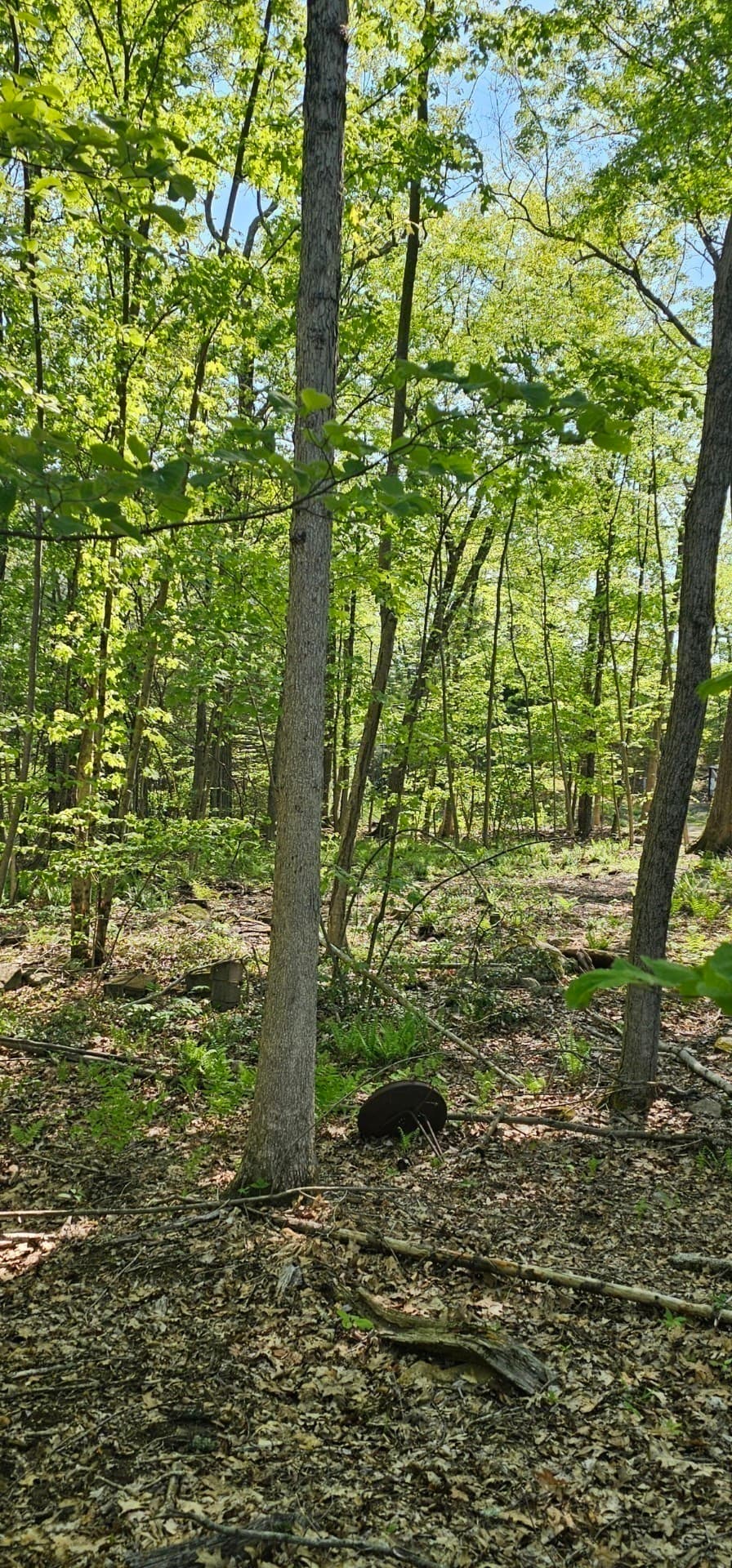 Residential at 12 Carey Road, Sturbridge MA 01566, Sturbridge, photo 10 of 15