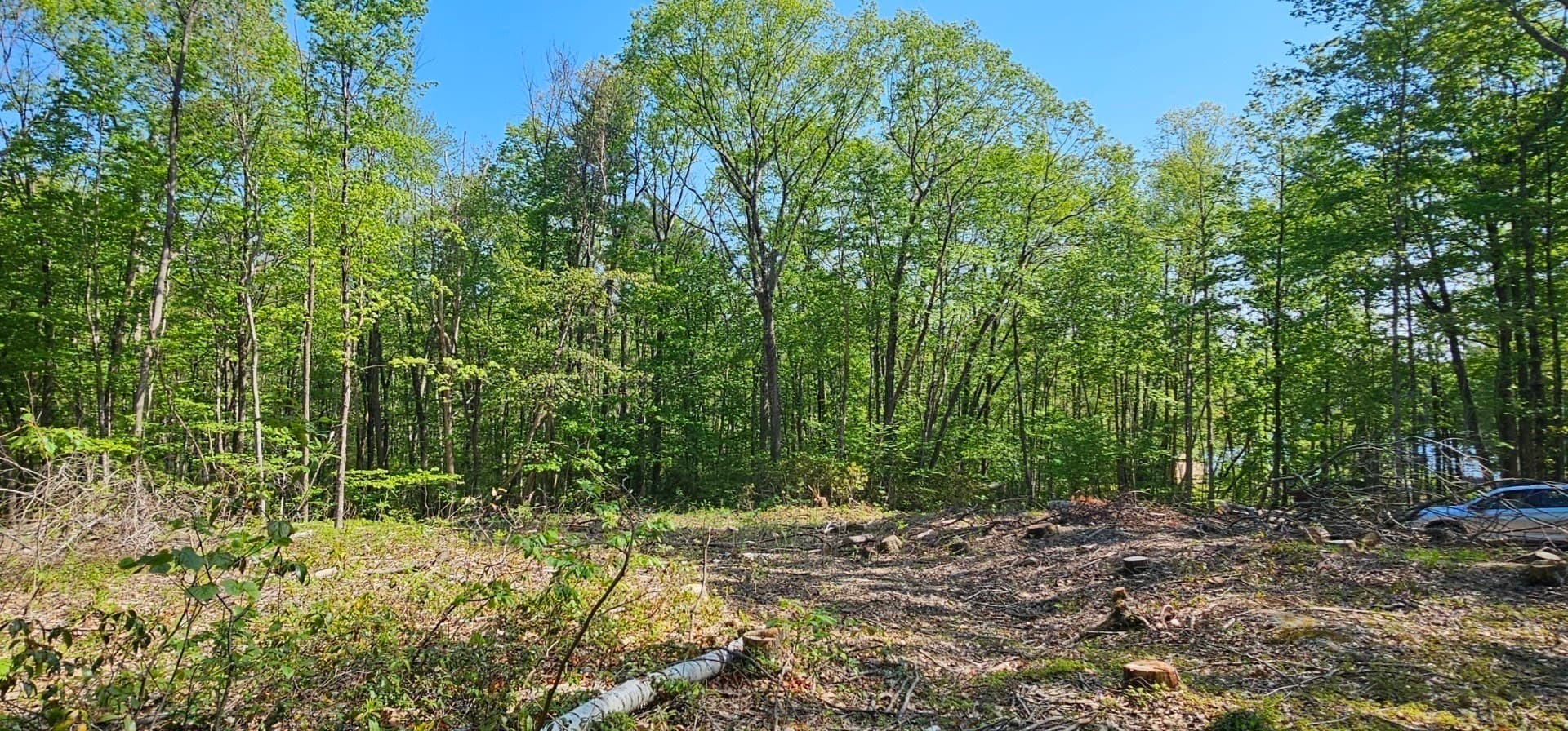 Residential at 12 Carey Road, Sturbridge MA 01566, Sturbridge, photo 14 of 15