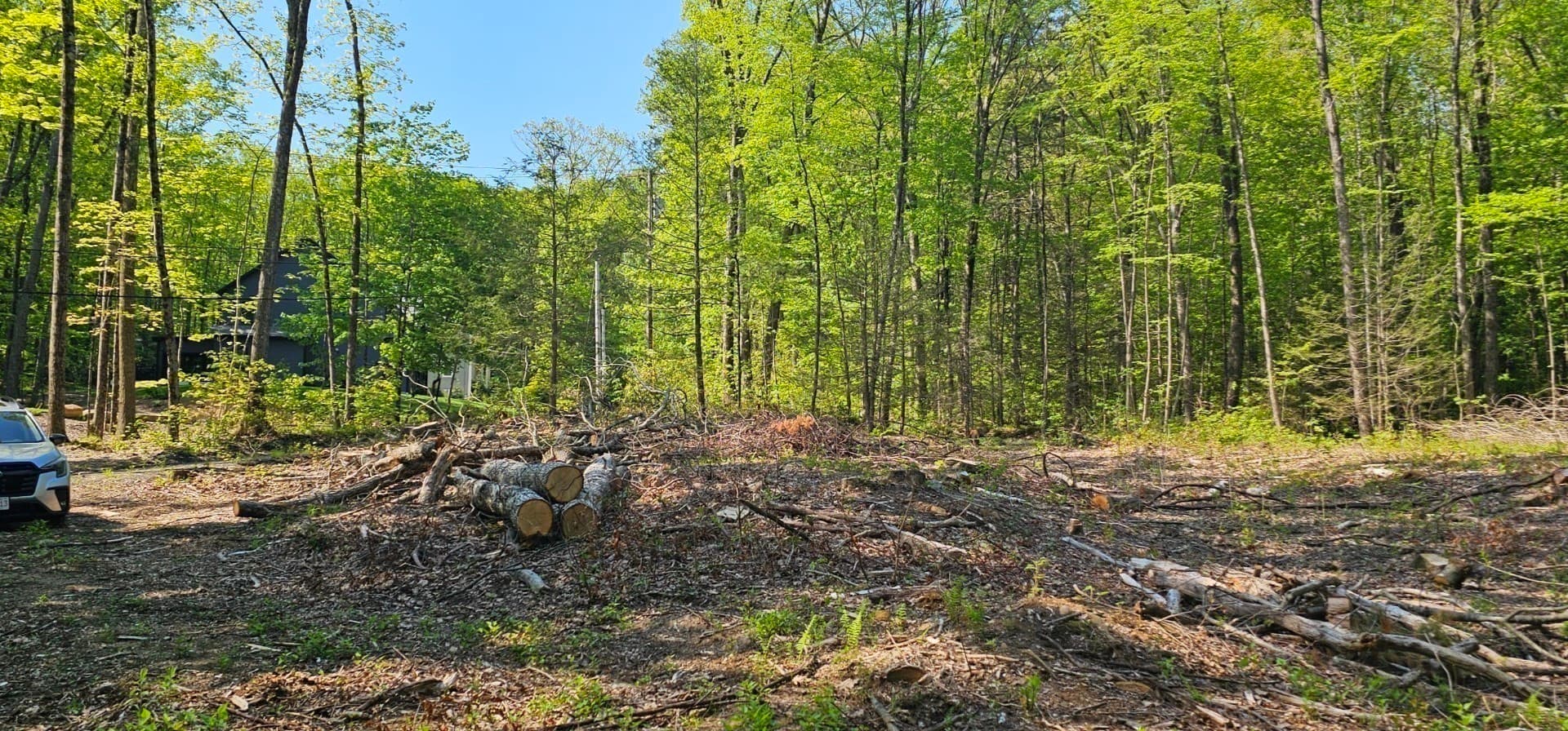 Residential at 12 Carey Road, Sturbridge MA 01566, Sturbridge, photo 11 of 15