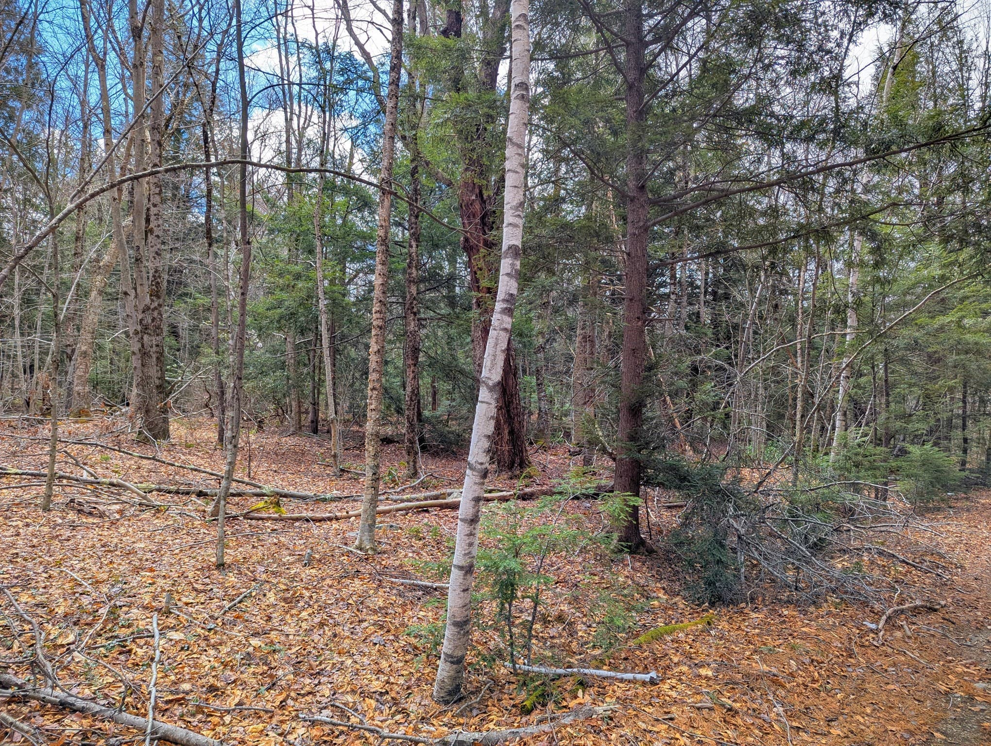 Residential at 0 Johnson Rd, Becket MA 01223, photo 17 of 20