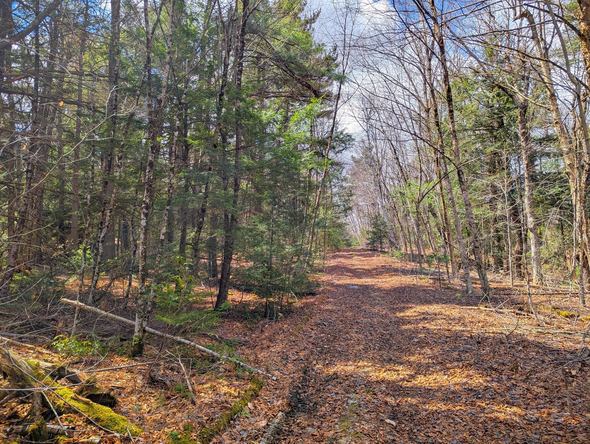 Residential at 0 Johnson Rd, Becket MA 01223, photo 16 of 20