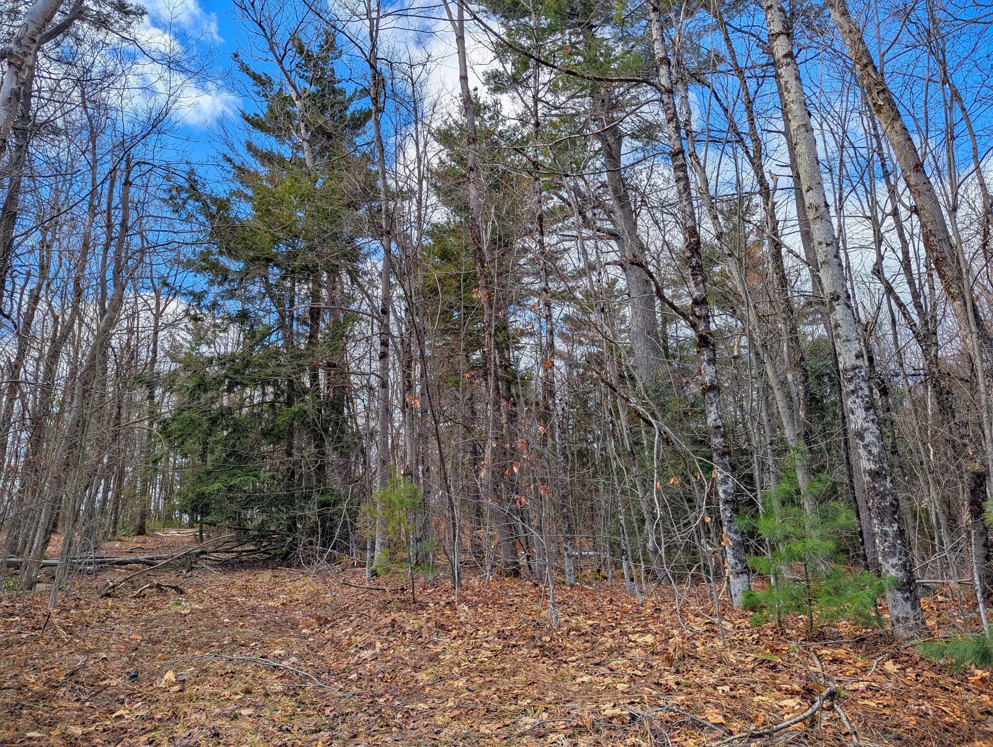 Residential at 0 Johnson Rd, Becket MA 01223, photo 12 of 20