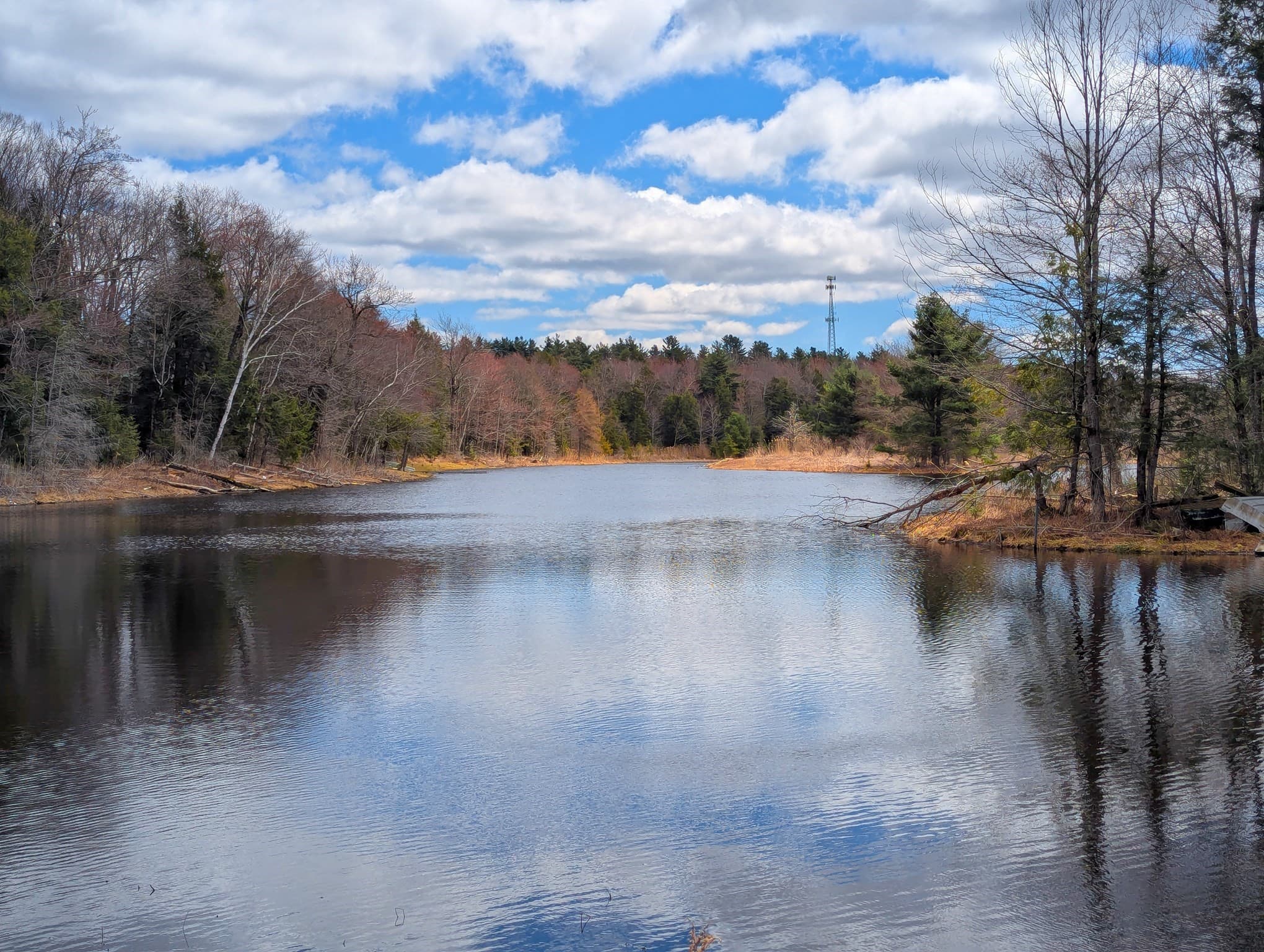 Residential at 0 Johnson Rd, Becket MA 01223, photo 20 of 20