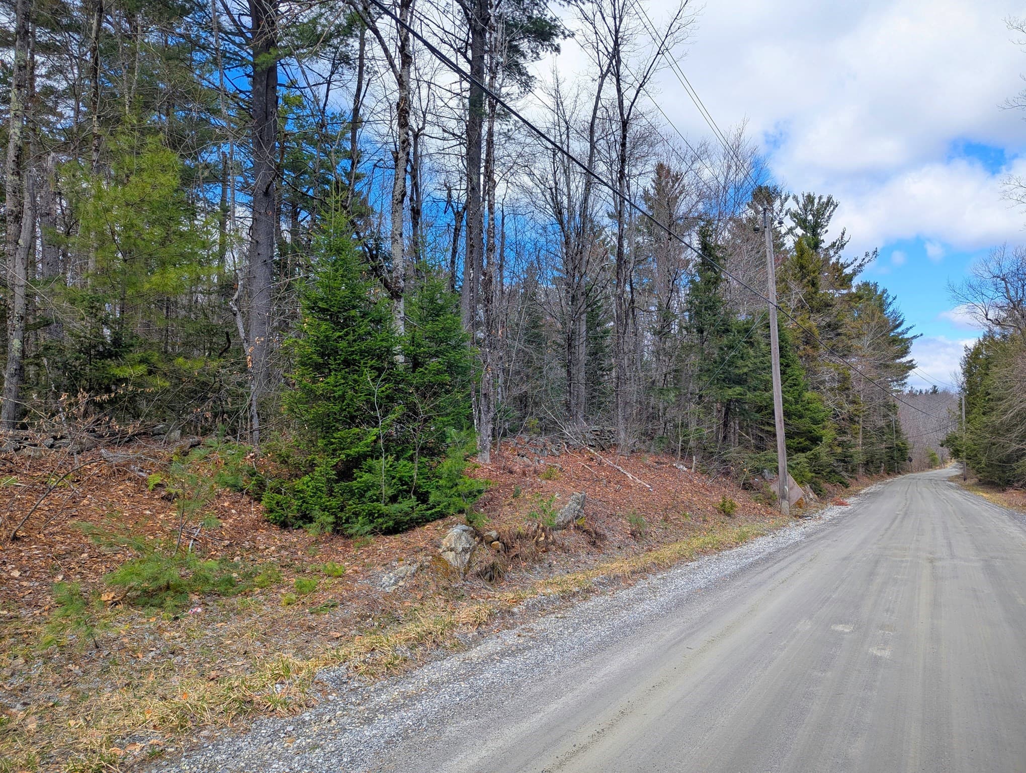 Residential at 0 Johnson Rd, Becket MA 01223, photo 9 of 20