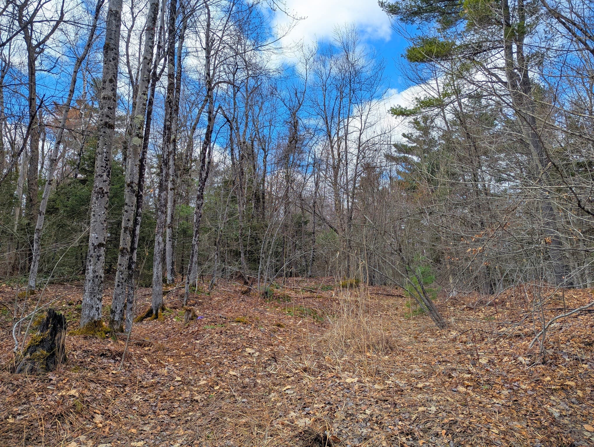 Residential at 0 Johnson Rd, Becket MA 01223, photo 10 of 20