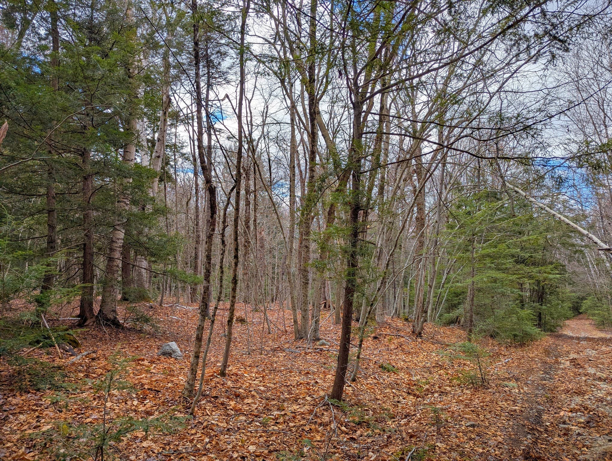 Residential at 0 Johnson Rd, Becket MA 01223, photo 18 of 20