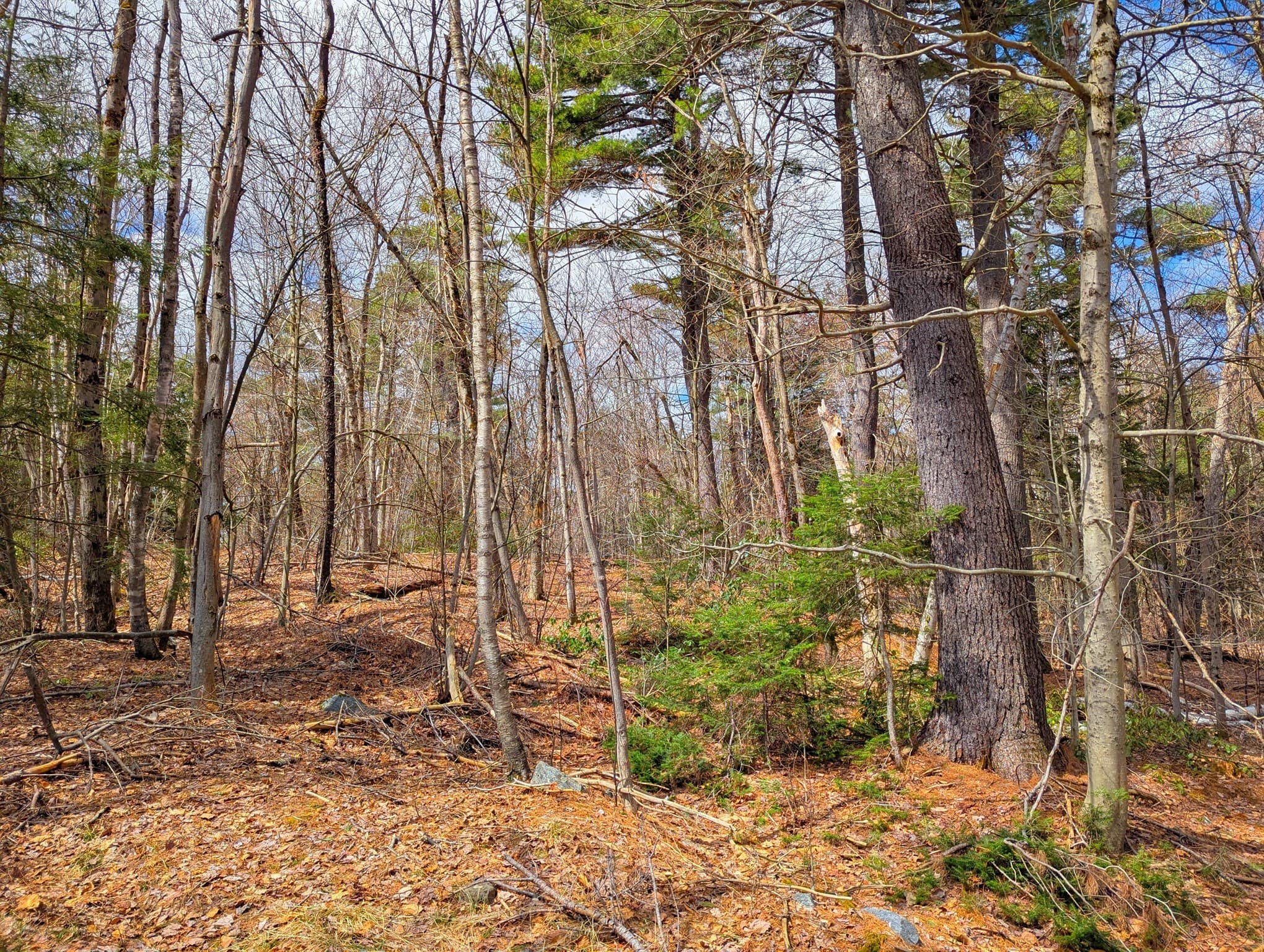 Residential at 0 Johnson Rd, Becket MA 01223, photo 15 of 20