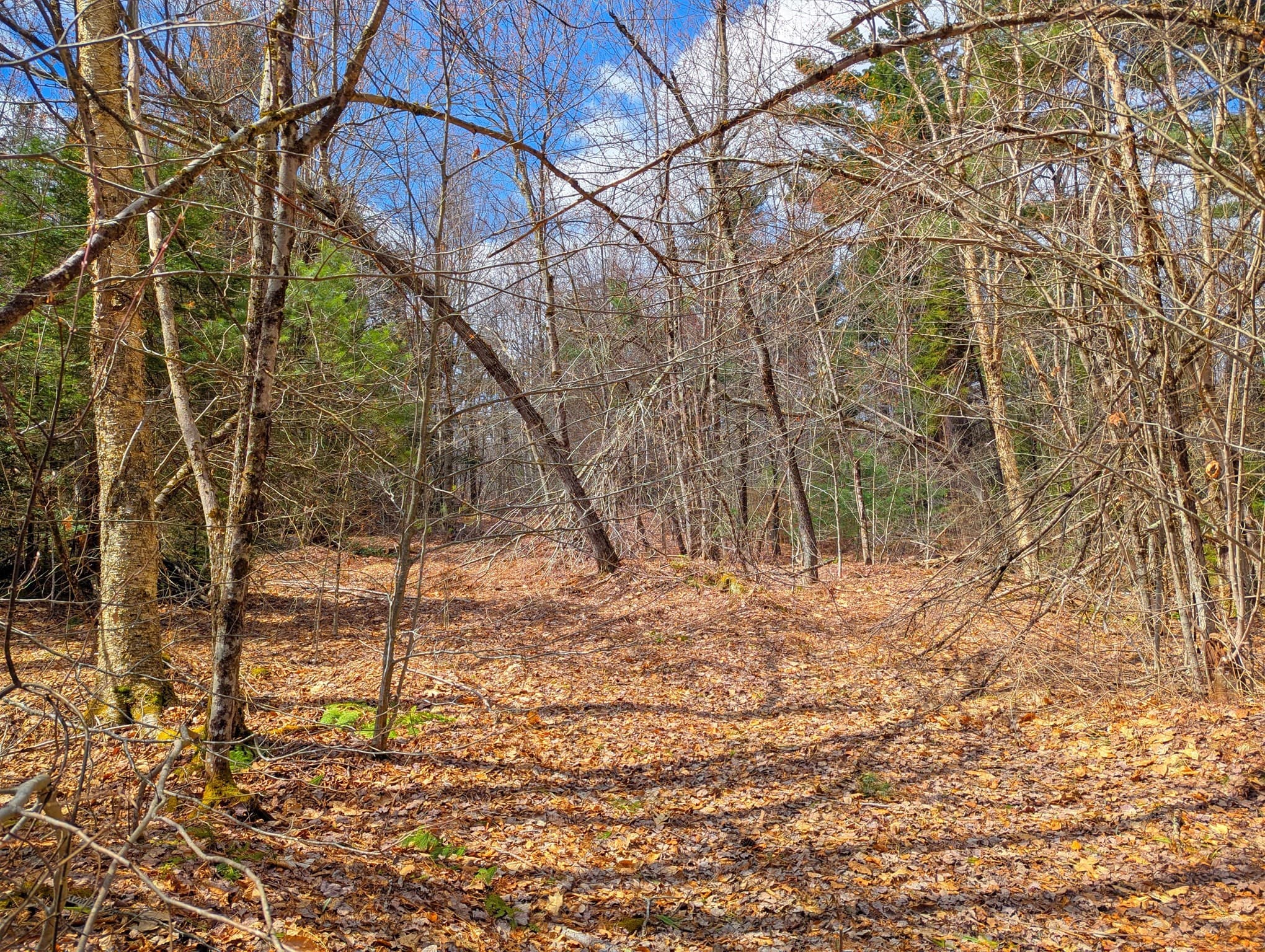 Residential at 0 Johnson Rd, Becket MA 01223, photo 11 of 20