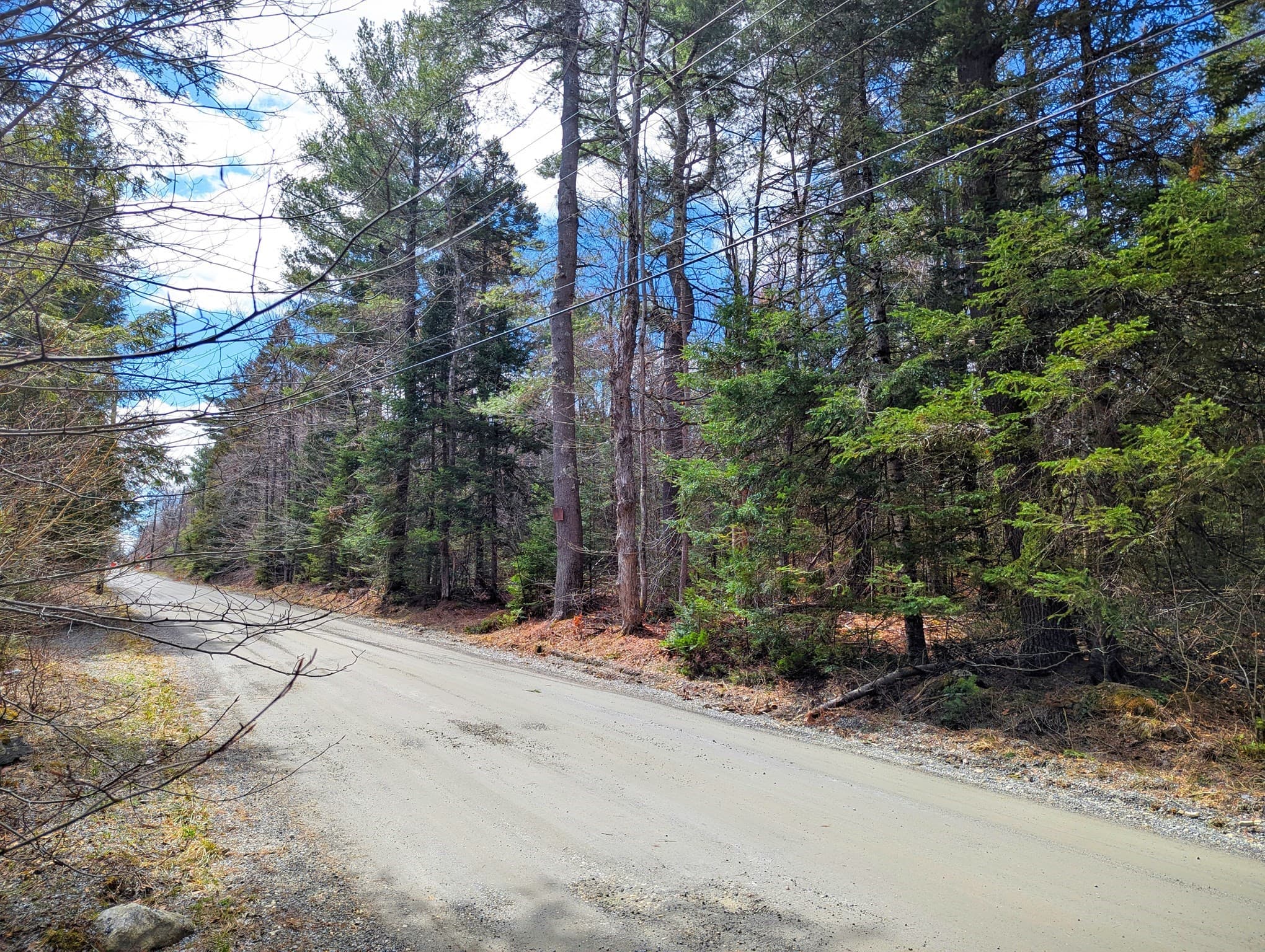 Residential at 0 Johnson Rd, Becket MA 01223, photo 8 of 20
