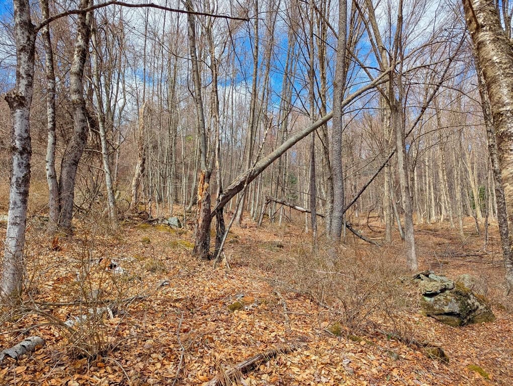 Lot 33.03 William Holmes Rd, Becket MA 01223 photo 13
