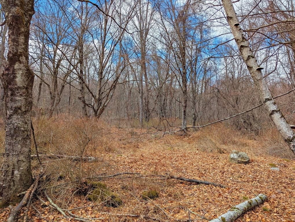 Lot 33.03 William Holmes Rd, Becket MA 01223 photo 16