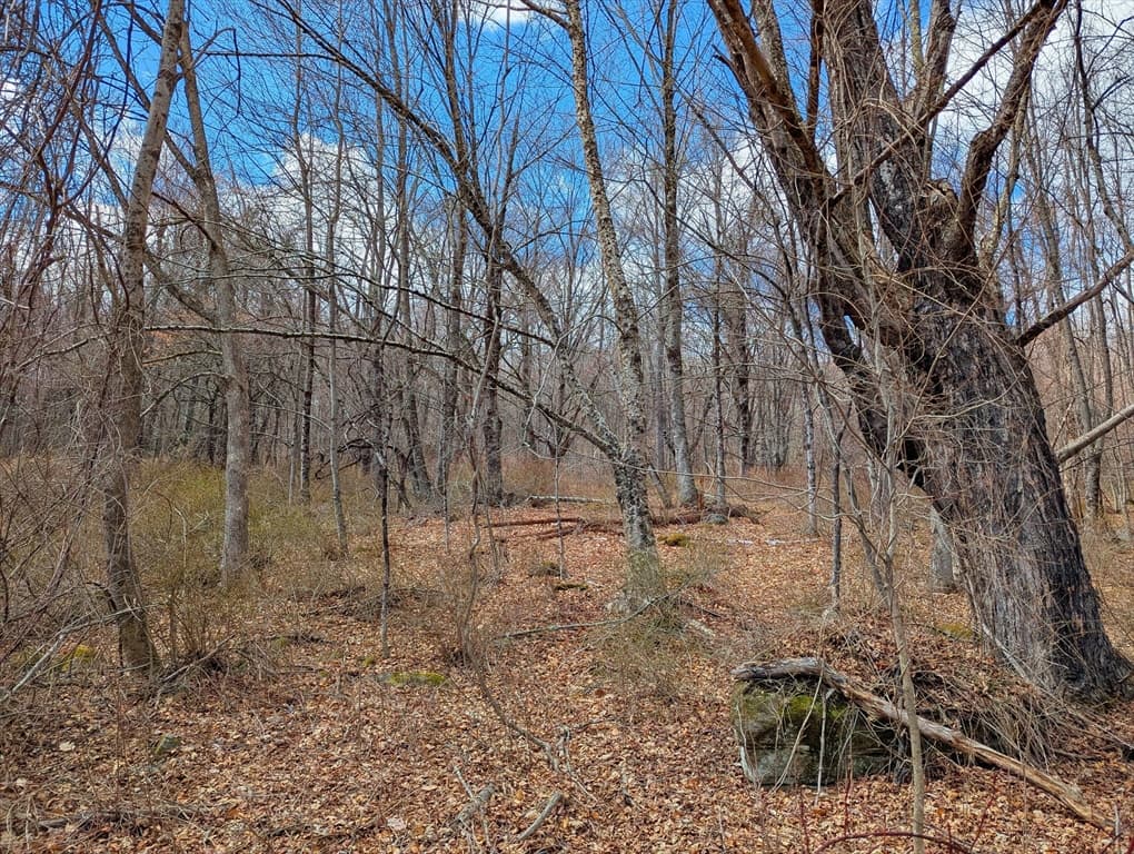 Lot 33.03 William Holmes Rd, Becket MA 01223 photo 12
