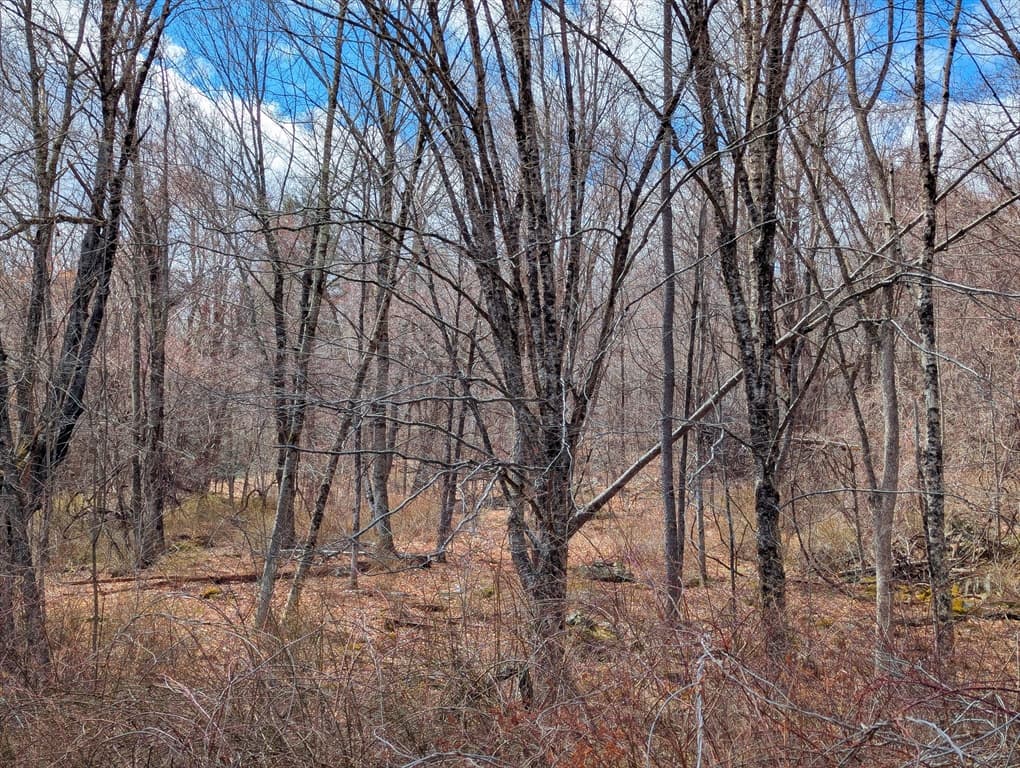 Lot 33.03 William Holmes Rd, Becket MA 01223 photo 9