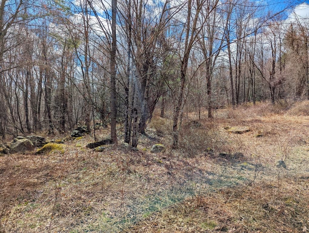 Lot 33.03 William Holmes Rd, Becket MA 01223 photo 10